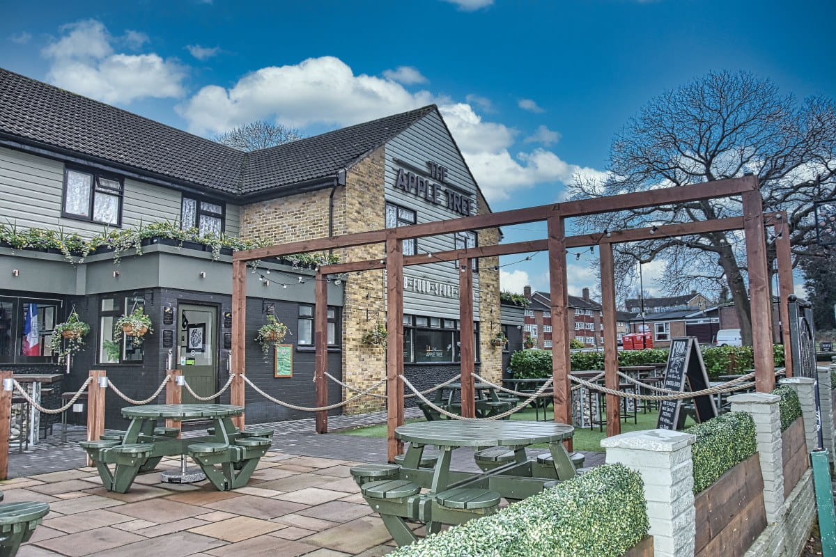 Apple Tree Shirley - External