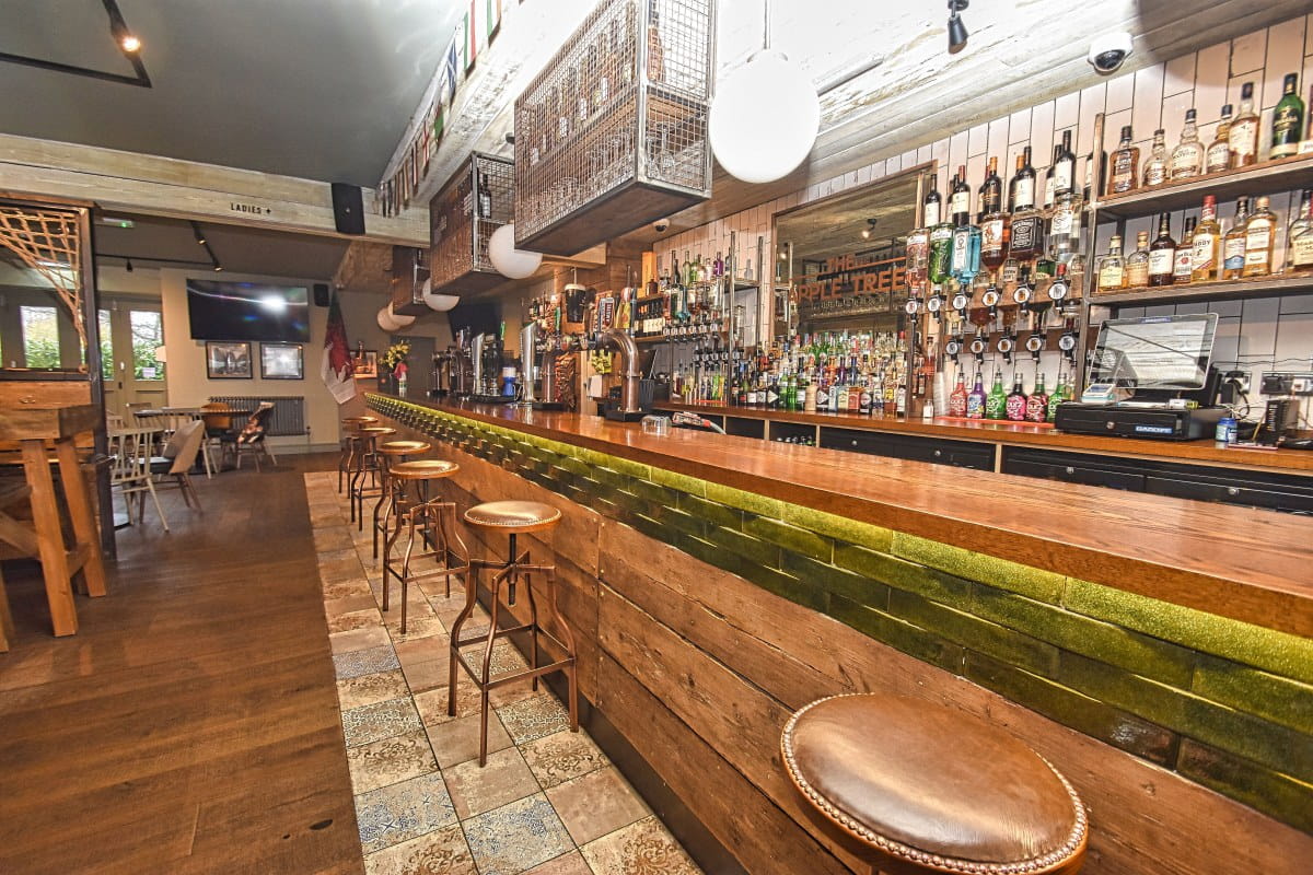 Apple Tree Shirley - Internal