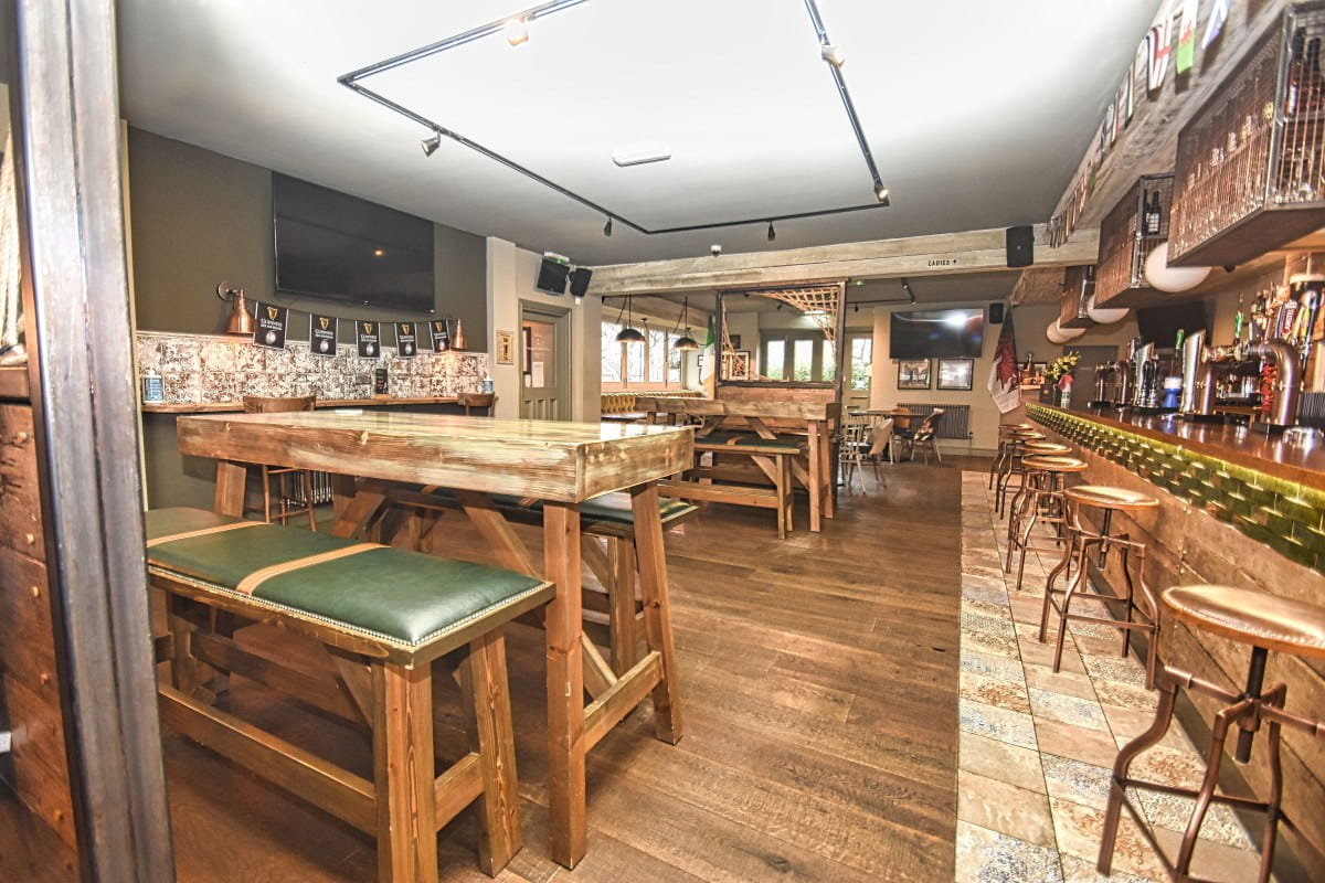 Apple Tree Shirley - Internal 2