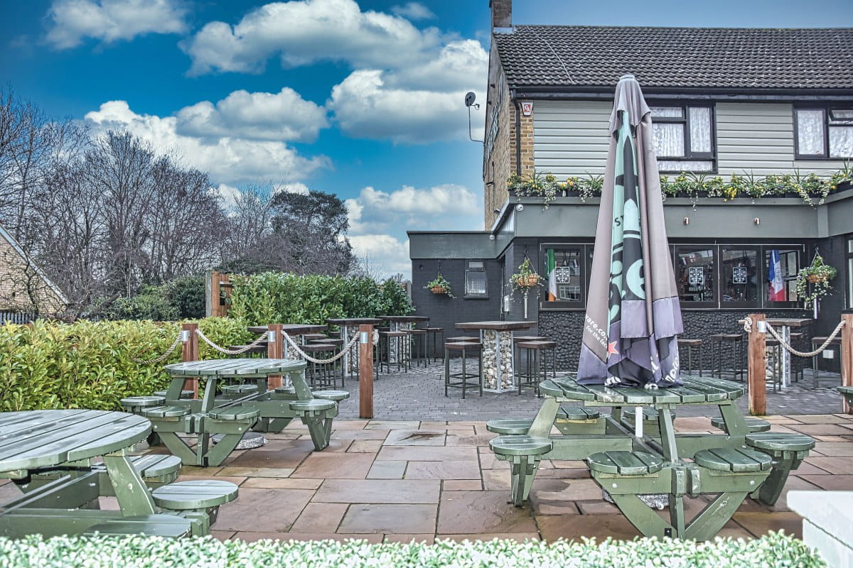 Apple Tree Shirley - External 2