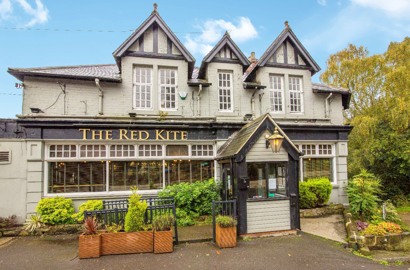 Red Kite Winlaton Mill
