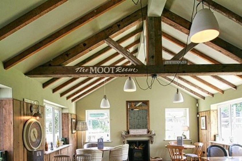 Extraordinary Hare West Hendred