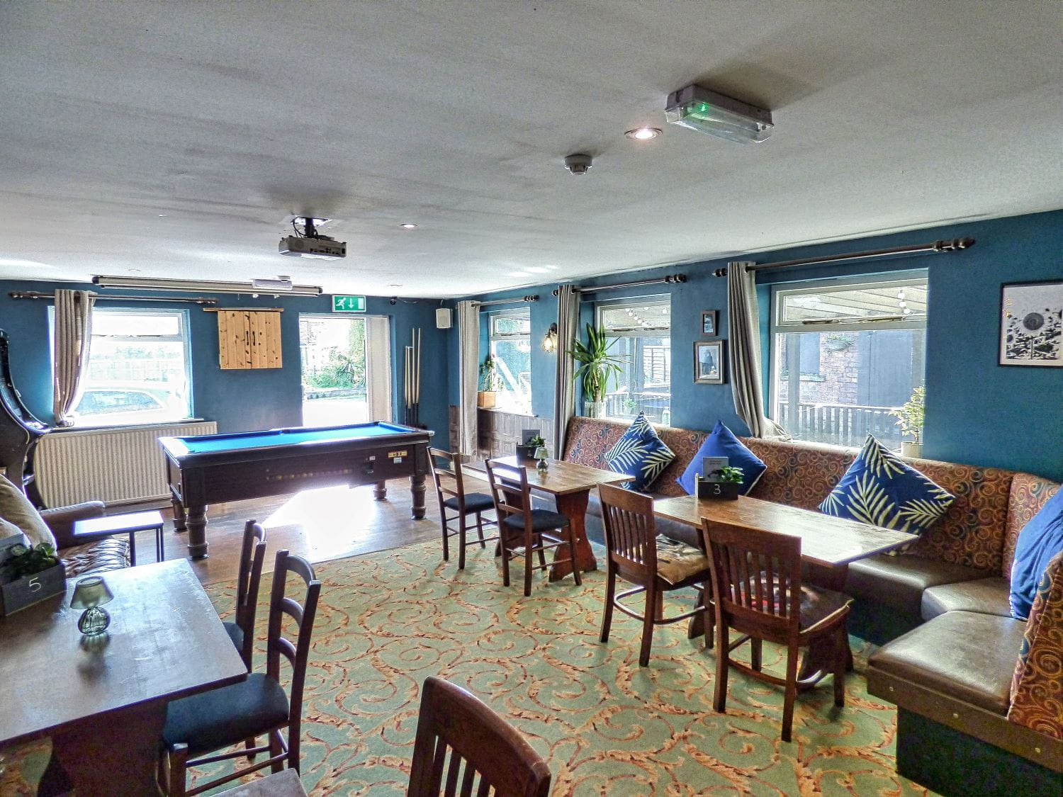 Greyhound 9